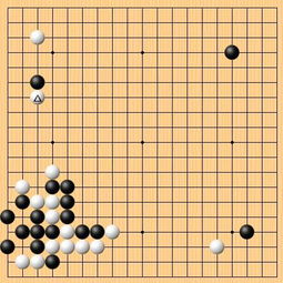 申真谞 围棋理论须忘却 世界冠军徐徐图之