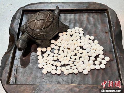 成都海关查获濒危贝类砗磲制品围棋子